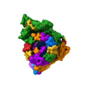 Saccharomyces cerevisiae V-ATPase Stv1-V1VO State 1