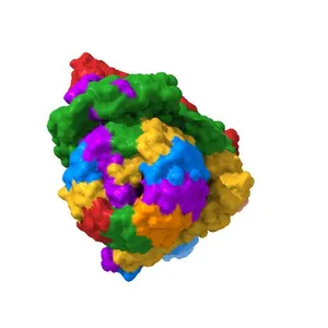 CryoEM Structures of Reconstituted V-ATPase, state3