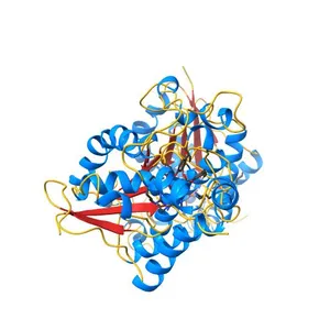 Crystal structure of human bisphosphoglycerate mutase complex with 3-phosphoglycerate (18 days)