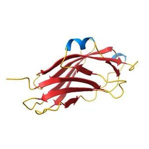 CRYSTAL STRUCTURE OF TRUNCATED HUMAN RHOGDI QUADRUPLE MUTANT
