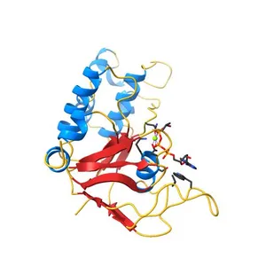 Nucleotide-binding domain 1 of the human cystic fibrosis transmembrane conductance regulator (CFTR) with dATP