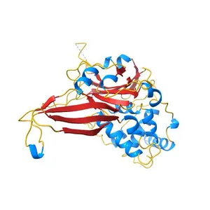 Crystal structure of the USP7/HAUSP catalytic domain