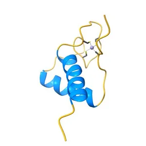 Solution NMR structure of zinc binding N-terminal domain of ubiquitin-protein ligase E3A from Homo Sapiens. Northeast Structural Genomics Consortium (NESG) target HR3662