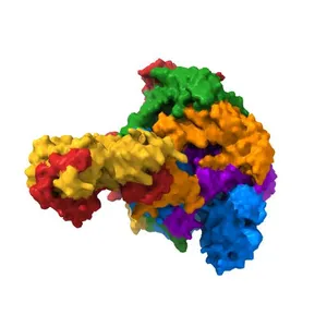 Class1 of the INO80-Hexasome complex