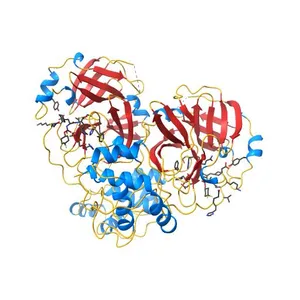 2.26 A resolution structure of MERS 3CL protease in complex with inhibitor 7i
