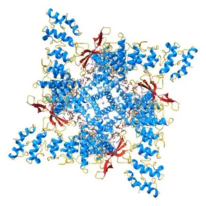 Cryo-EM structure of full-length TRPV1 at 4 degrees Celsius