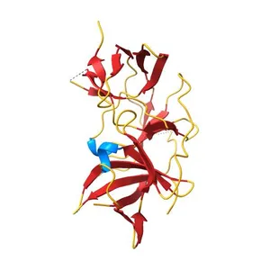 Zika virus NS2B/NS3 protease bZipro(C143S) in complex with 4-amino benzamidine