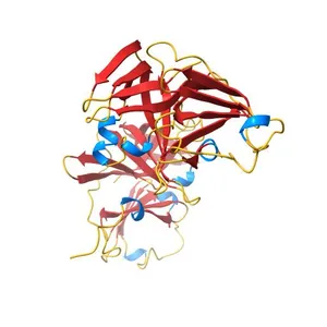 Crystal structure of a GII.4 norovirus HOV protease