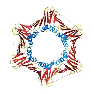 Crystal structure of PCNA from Chaetomium thermophilum