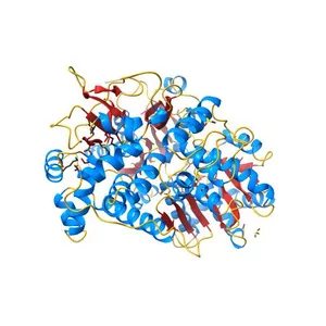Crystal structure of DHX8 helicase domain bound to ADP at 2.3 Angstrom