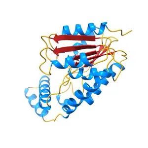 Crystal Structure of Engineered Protein. Northeast Structural Genomics Consortium Target OR94
