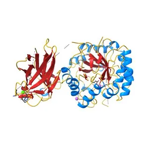 Crystal structure of alkaline mannanase from Bacillus sp. strain JAMB-602: catalytic domain and its Carbohydrate Binding Module
