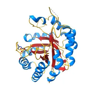 Crystal structure of endo-beta-1,4-mannanase from the alkaliphilic Bacillus sp. N16-5