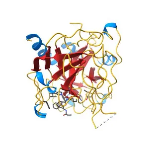 COMPLEX OF HUMAN ALPHA-THROMBIN WITH THE BIFUNCTIONAL BORONATE INHIBITOR BOROLOG1