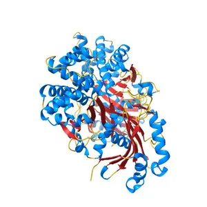 Crystal structure of the F337A mutation of Trypanosoma cruzi glucokinase in the apo form (open conformation)
