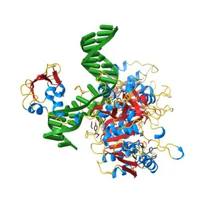 DNA N6-Adenine Methyltransferase CcrM In Complex with Double-Stranded DNA Oligonucleotide Containing Its Recognition Sequence GAATC
