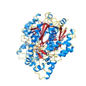 CHALCONE SYNTHASE FROM ALFALFA COMPLEXED WITH RESVERATROL