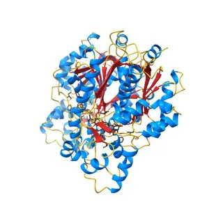 CHALCONE SYNTHASE FROM ALFALFA COMPLEXED WITH NARINGENIN