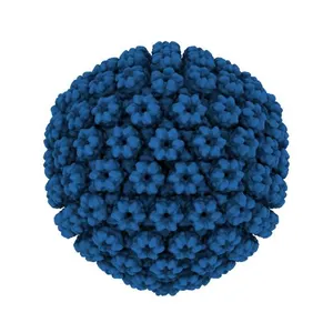 CryoEM structure and atomic model of the Kaposi's sarcoma-associated herpesvirus capsid