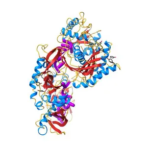 The Crystal Structure of Human Argonaute2 Bound to a Defined Guide RNA