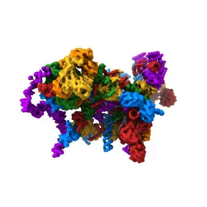 Architecture of the yeast small subunit processome