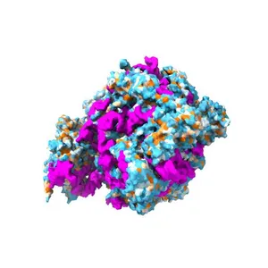 Cryo-em structure of eukaryotic pre-60S ribosomal subunits