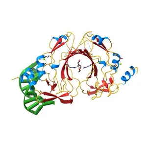Crystal structure of human TBX5 in the DNA-bound and DNA-free form