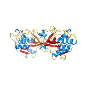 Crystal structure of mature and fully active Der p 1 allergen
