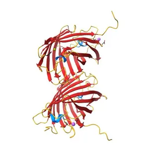 Semi-rational engineering of a green-emitting coral fluorescent protein into an efficient highlighter.