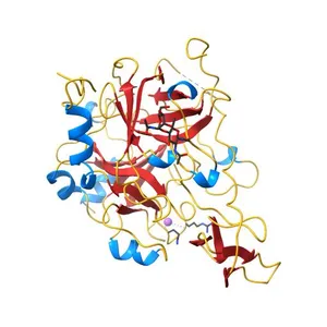 The Crystal Structure of Bovine Thrombin in complex with Hirudin (C16U/C28U) at 1.6 Angstroms Resolution