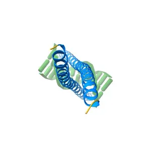 Crystal structure of C/EBPbeta BZIP domain bound to a high affinity DNA