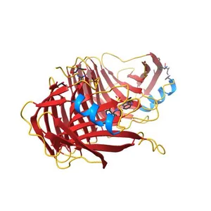 A glycoside hydrolase family 11 xylanase with an extended thumb region