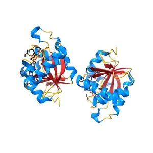 Structure of SARS-CoV-2 NSP3 macrodomain in complex with 2'-deoxy-ADPR