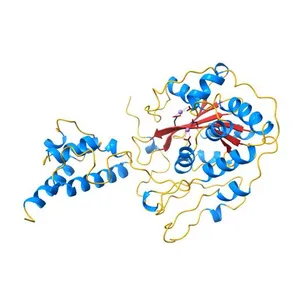 Structure of the yeast nuclear exosome component, Rrp6p, reveals an interplay between the active site and the HRDC domain; Protein in complex with Mn