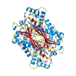 Crystal structure of human methionine adenosyltransferase 2A (MAT2A) in complex with SAM and allosteric inhibitor AG-270