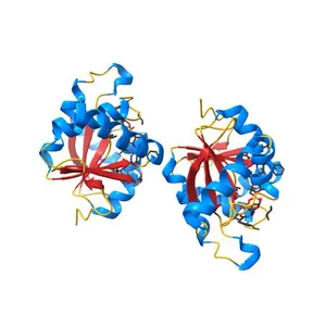 Structure of SARS-CoV-2 NSP3 macrodomain in complex with ADPR