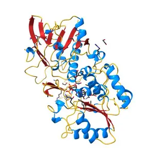 Crystal structure of the C. elegans Protein O-fucosyltransferase 2 (CePOFUT2) double mutant (R298K-R299K) in complex with GDP and the human TSR1 from thrombospondin 1