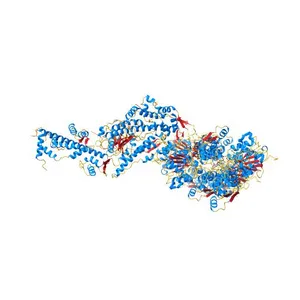High-Resolution Cryo-EM Structures of Actin-bound Myosin States Reveal the Mechanism of Myosin Force Sensing