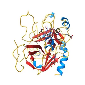 CHANGES IN INTERACTIONS IN COMPLEXES OF HIRUDIN DERIVATIVES AND HUMAN ALPHA-THROMBIN DUE TO DIFFERENT CRYSTAL FORMS