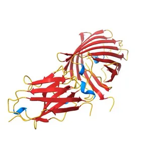 Crystal structure of red fluorescent protein mCherry complexed with the nanobody LaM4 at 1.9 Angstron resolution