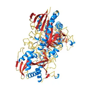 Methylthioadenosine phosphorylase from Schistosoma mansoni in complex with adenine in space group P212121