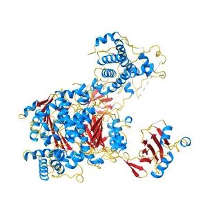 Structure of Ubiquitin activating enzyme (Uba1) in complex with ubiquitin and TAK-243