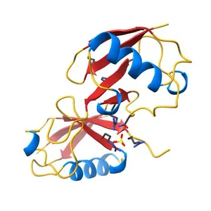 A new crystal form of Lys48-linked diubiquitin