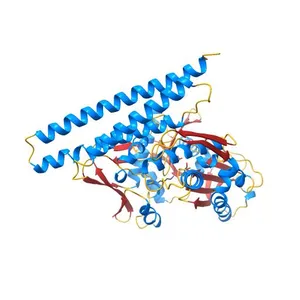 CRYSTAL STRUCTURE OF A BAG DOMAIN IN COMPLEX WITH THE HSC70 ATPASE DOMAIN