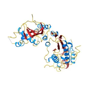 The crystal structure of the monomeric reverse transcriptase from moloney murine leukemia virus