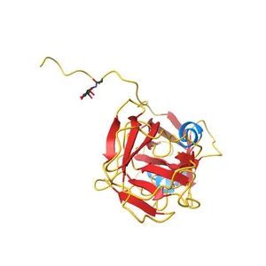 Crystal Structure of Phl p 1, a Major Timothy Grass Pollen Allergen
