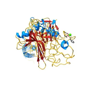 Crystal Structure of Recombinant Human Fibrinogen Fragment D