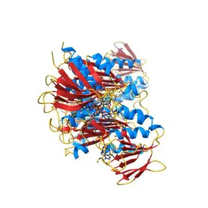 Water-forming NADH oxidase from Lactobacillus brevis (LbNOX) bound to NADH.