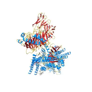 Fentanyl-bound mu-opioid receptor-Gi complex