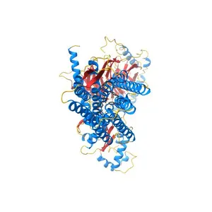 DAMGO-bound mu-opioid receptor-Gi complex